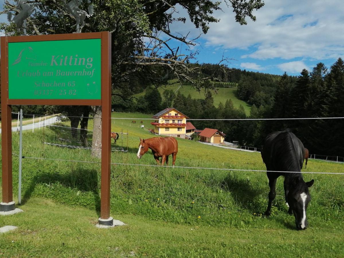 Vorau Urlaub Am Bauernhof Familie Kittingヴィラ エクステリア 写真