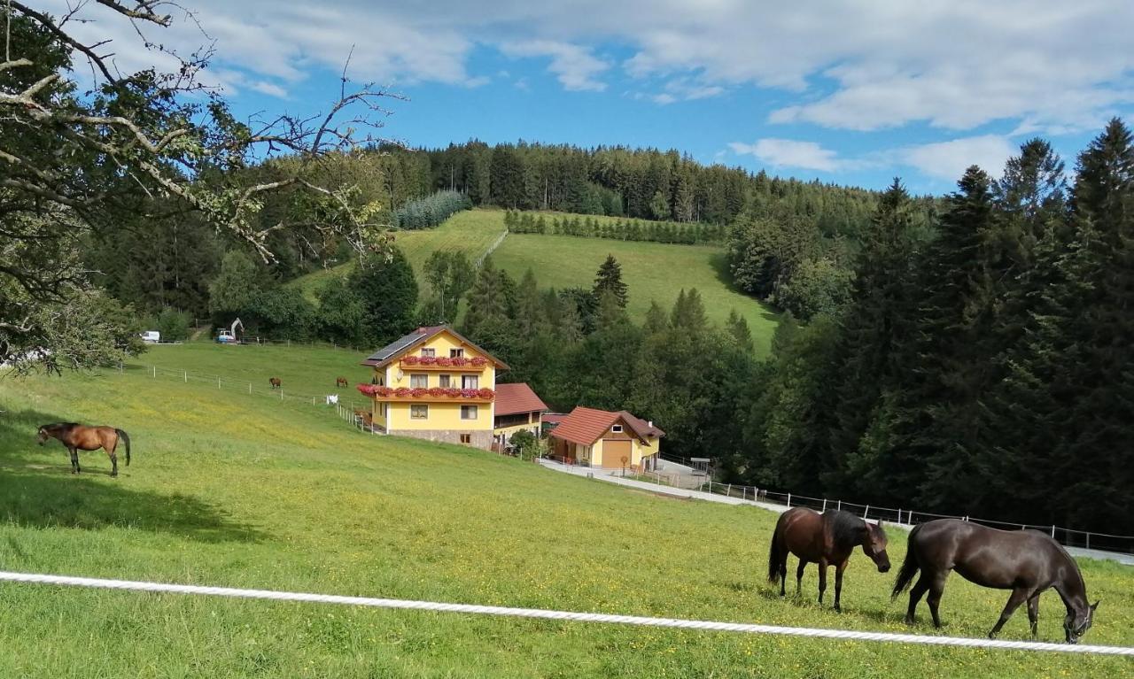 Vorau Urlaub Am Bauernhof Familie Kittingヴィラ エクステリア 写真