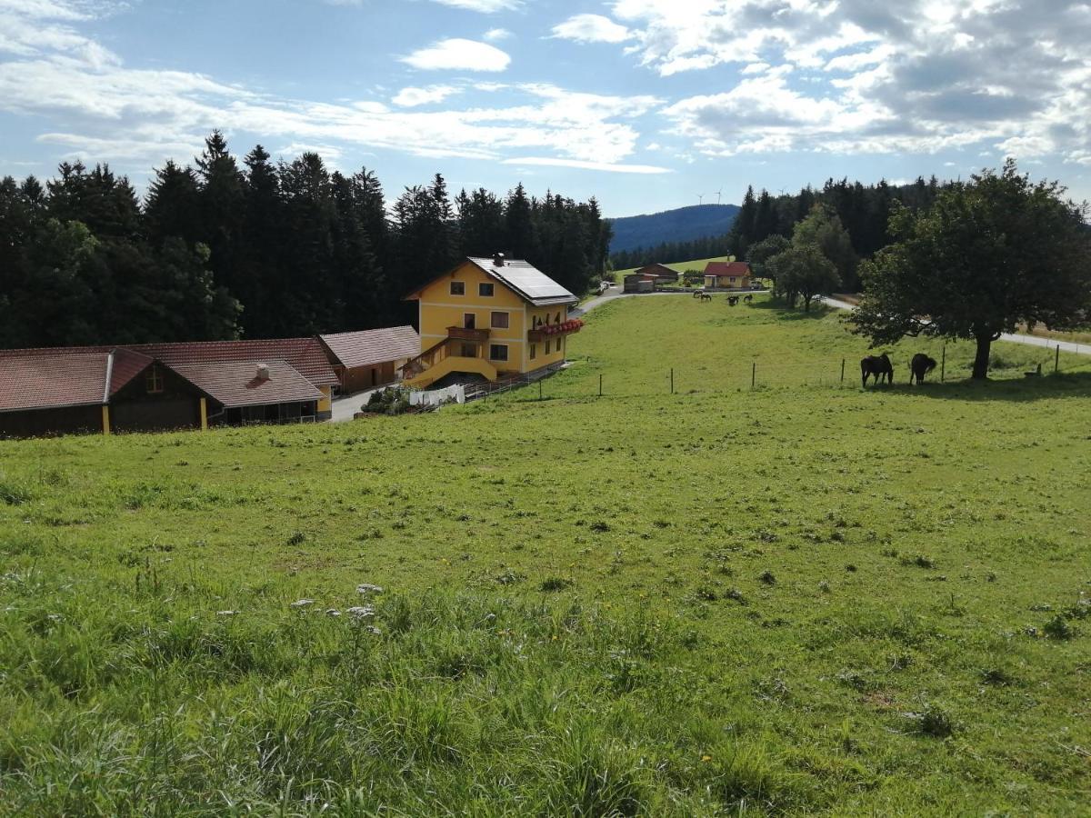 Vorau Urlaub Am Bauernhof Familie Kittingヴィラ エクステリア 写真