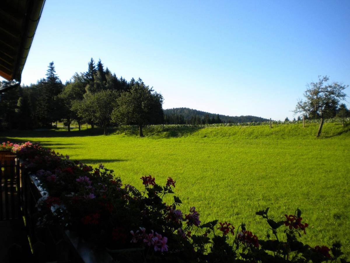 Vorau Urlaub Am Bauernhof Familie Kittingヴィラ エクステリア 写真