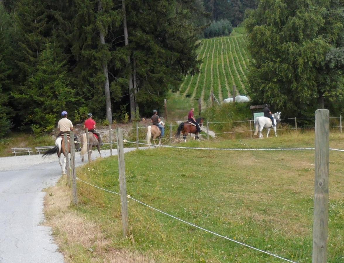 Vorau Urlaub Am Bauernhof Familie Kittingヴィラ エクステリア 写真